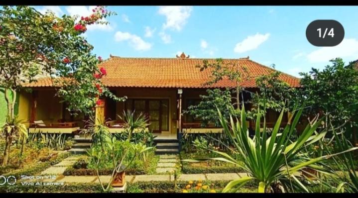 Pomelo Guest House Ubud Extérieur photo